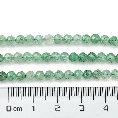 Natural Green Strawberry Quartz Beads Strands G-Z034-A02-03-1