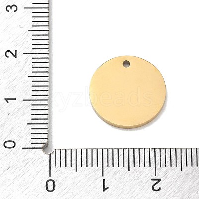 304 Stainless Steel Charms SA-CBA2714-04E-G-1