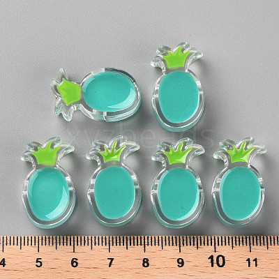 Transparent Enamel Acrylic Beads TACR-S155-002G-1