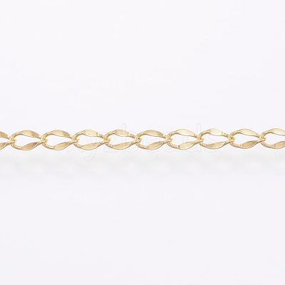 Handmade 304 Stainless Steel Curb Chains STAS-G038-11B-1