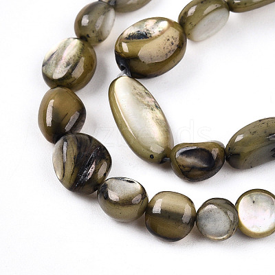 Natural White Shell Beads Strands SHEL-N036-21-1