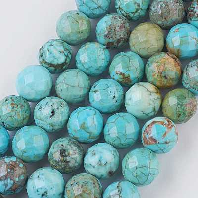 Natural Magnesite Beads Strands TURQ-K004-05-10mm-1