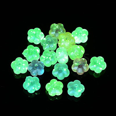 Transparent Acrylic Beads OACR-Z013-18-1