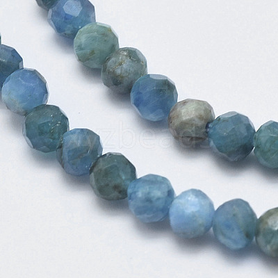 Natural Apatite Beads Strands G-F547-37-5mm-1