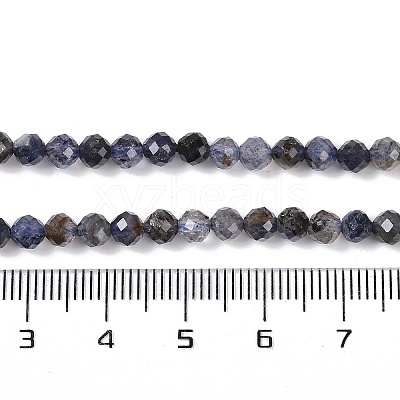 Natural Iolite Beads Strands LS-G-G139-A11-03-1