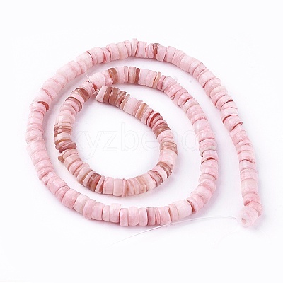 Natural Shell Beads Strands X-SSHEL-E571-49A-1