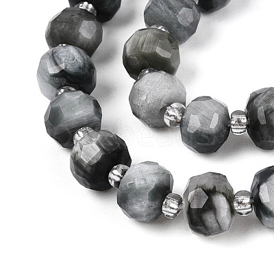 Natural Eagle Eye Stone Beads Strands G-N327-08A-02-1