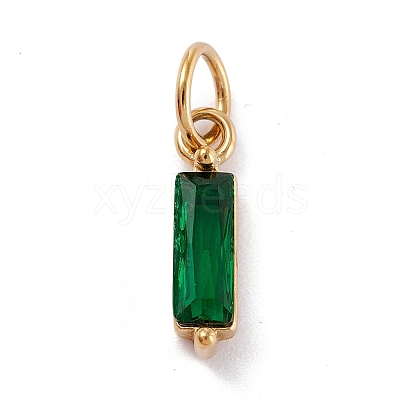 304 Stainless Steel Cubic Zirconia Pendants STAS-E487-21G-06-1