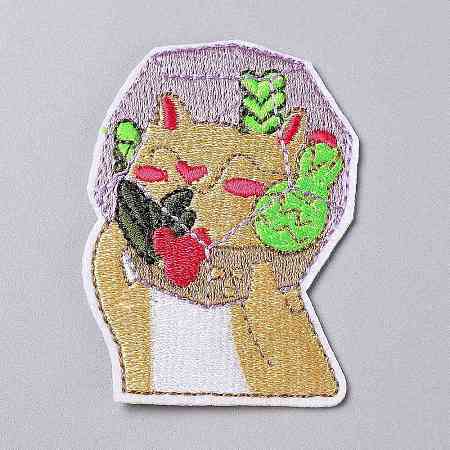 Computerized Embroidery Cloth Iron on/Sew on Patches DIY-P006-06-1