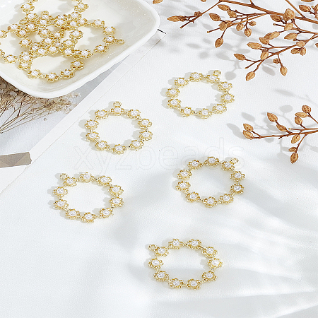 10Pcs Alloy Pendants FIND-LP0005-37-1