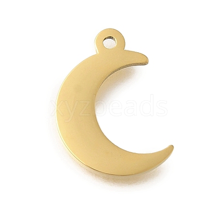 304 Stainless Steel Charms STAS-U027-10G-04-1