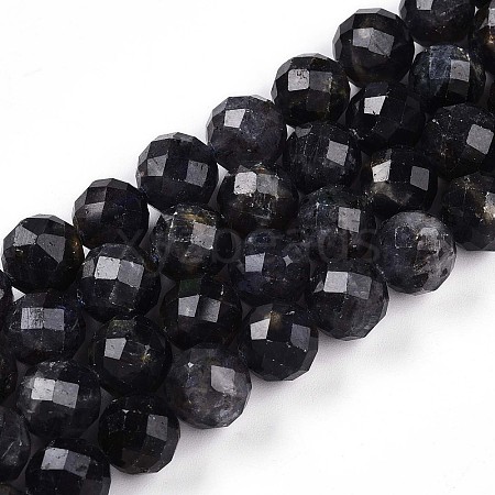 Natural Cordierite/Iolite/Dichroite  Beads Strands G-S345-10mm-27-1