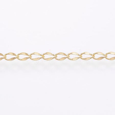 Handmade 304 Stainless Steel Curb Chains STAS-G038-11B-1