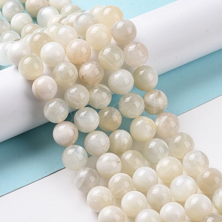 Natural White Moonstone Beads Strands G-F674-08-10mm-01-1