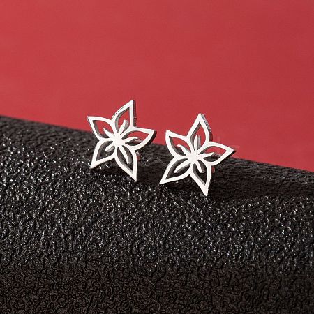 Stainless Steel Stud Earrings for Women PW-WGFE412-28-1