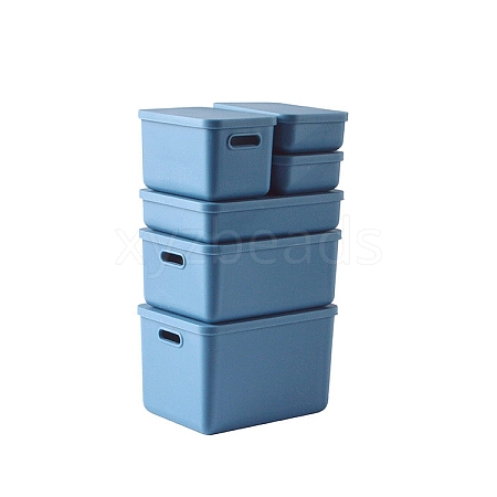 Plastic Storage Box Mini Model PW-WGDB5EC-01-1