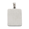 Non-Tarnish 304 Stainless Steel Pendants STAS-K216-48J-P-2