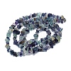 Natural Fluorite Stone Bead Strands G-R192-05-5