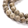 Natural Maifanite/Maifan Stone Beads Strands G-I187-6mm-01-9