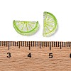 Resin Cabochons LS-RESI-Z032-04A-3