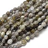 Natural Labradorite Nuggets Beads Strands X-G-J335-40-1