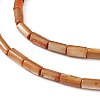 Natural Freshwater Shell Dyed Beads Strands SHEL-M018-11-11-3