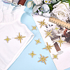 80Pcs 2 Styles Star Polyester Computerized Embroidery Iron on/Sew on Patches PATC-ME0001-17A-4