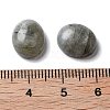 Natural Labradorite Cabochons G-G145-01A-61-3