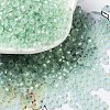 8/0 Glass Seed Beads SEED-Z001-C-E05-1