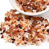 Natural Carnelian Chip Beads X-G-O103-18-3