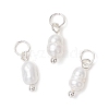 Natural Cultured Freshwater Pearl Potato Charms with Brass Jump Rings PALLOY-JF04176-03-1