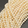 Natural Cultured Freshwater Pearl Beads Strands PEAR-F001-21-01-1