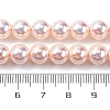 UV Plating Pearlized Glass Pearl Beads Strands GLAA-F128-01B-T09-2