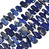 Natural Lapis Lazuli Beads Strands G-K393-B05-2