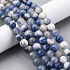 Natural Sodalite Beads Strand LS-GSR6mmC013-5