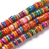 Natural Freshwater Shell Beads Strands SHEL-C001-06-5