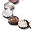 Natural Sea Shell Beads Strands SSHEL-D084-13A-3