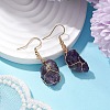 Natural Amethyst & 304 Stainless Steel Dangle Earrings for Women EJEW-JE06237-01-2