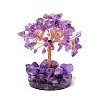 Natural Amethyst Display Decorations PW-WG5C4DA-07-1