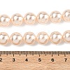 Electroplated Shell Pearl Beads Strands BSHE-G041-10mm-04-2