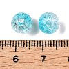 Transparent Crackle Acrylic Beads CACR-N002-22B-3