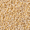 MIYUKI Round Rocailles Beads SEED-G007-RR0529-2