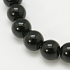 Natural Agate Beads Strands G-G390-10mm-01-1