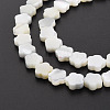 Natural Trochid Shell/Trochus Shell Beads Strands SSHEL-T014-43B-02-4