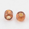 8/0 Glass Seed Beads X1-SEED-A005-3mm-53-2