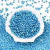 6/0 Baking Paint Transparent Glass Seed Beads SEED-N006-06L-2