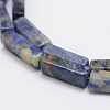 Natural Sodalite Stone Beads Strands G-E342-01-3