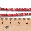 Dyed Natural Regalite/Imperial Jasper/Sea Sediment Jasper Beads Strands G-B124-C05-3