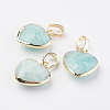 Natural Amazonite Pendants X-G-G737-14C-G-1