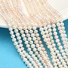 Natural Cultured Freshwater Pearl Beads Strands PEAR-L034-06B-1